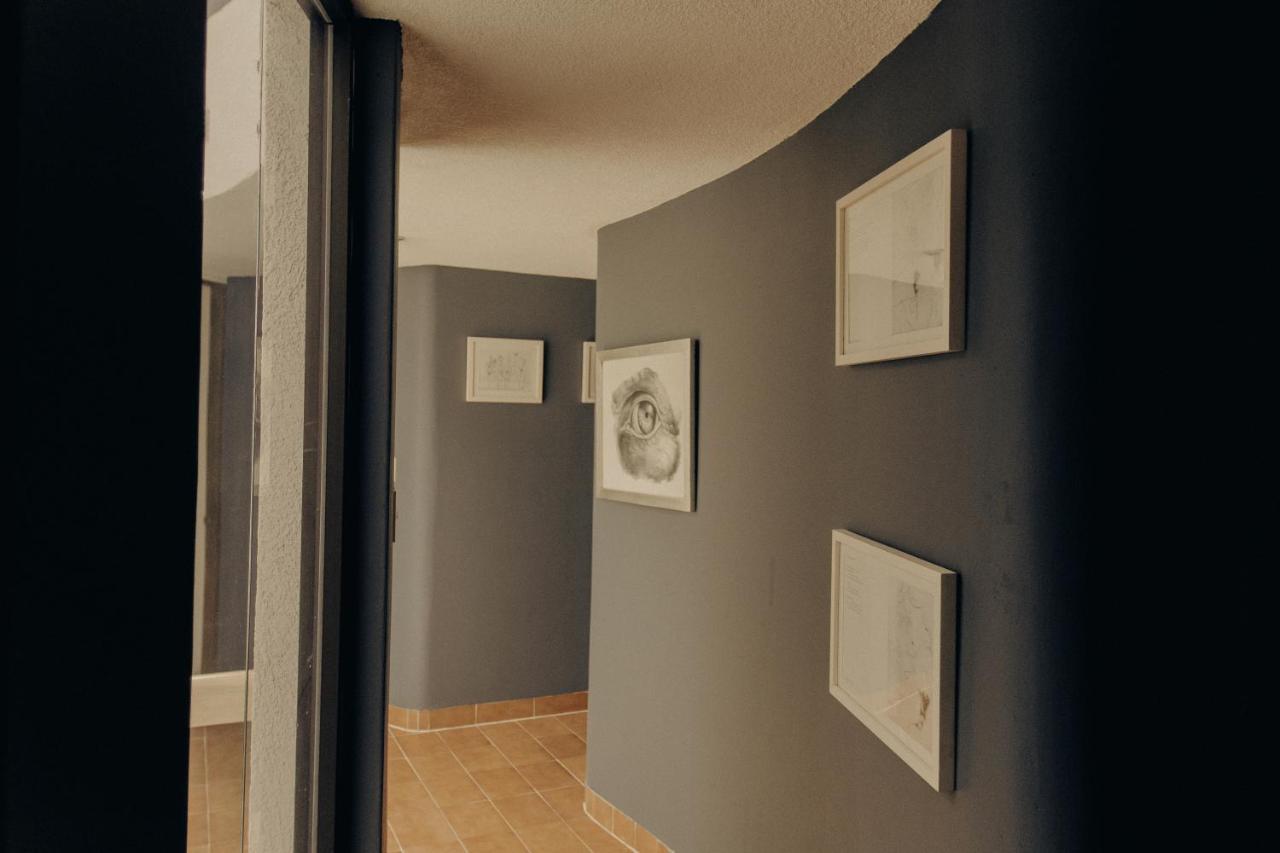 Casa Lulu Coyoacan Alvaro Obregon Dış mekan fotoğraf