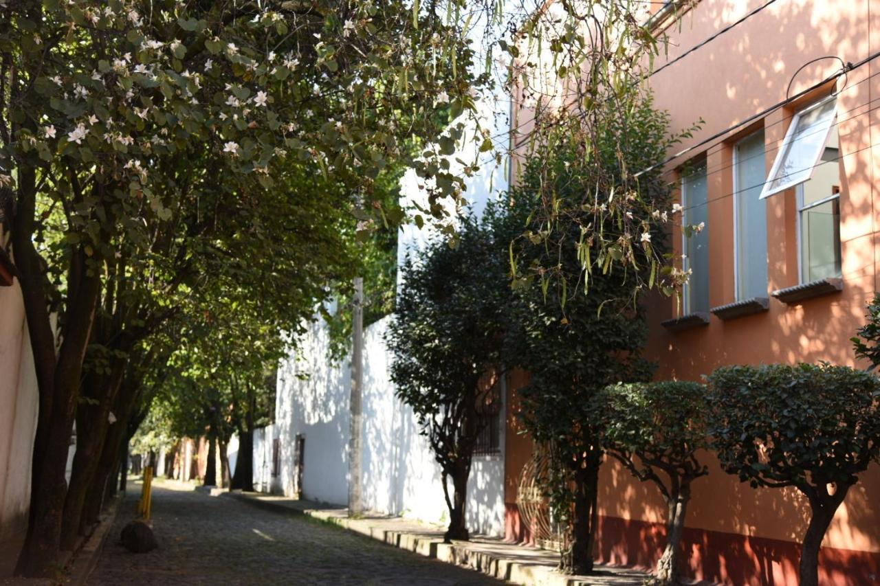 Casa Lulu Coyoacan Alvaro Obregon Dış mekan fotoğraf