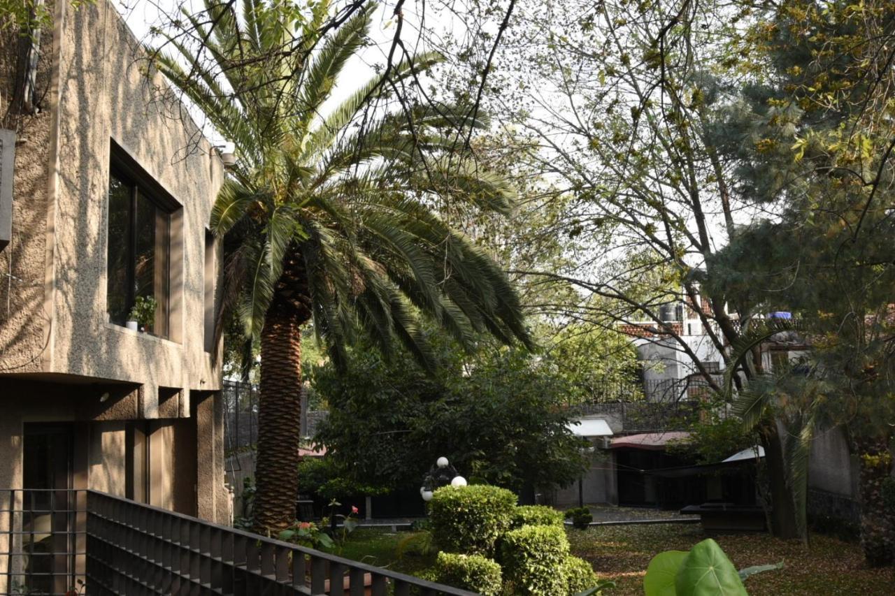 Casa Lulu Coyoacan Alvaro Obregon Dış mekan fotoğraf