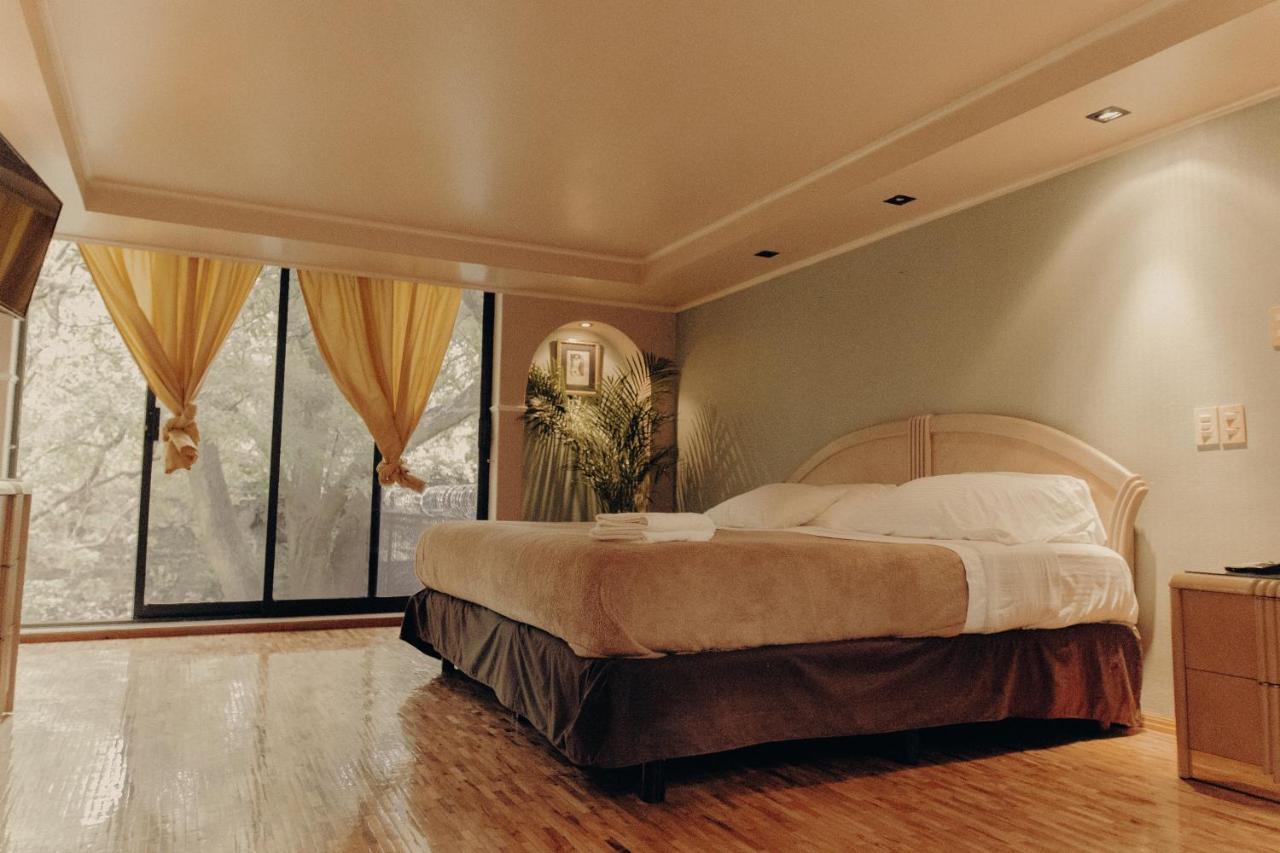 Casa Lulu Coyoacan Alvaro Obregon Dış mekan fotoğraf