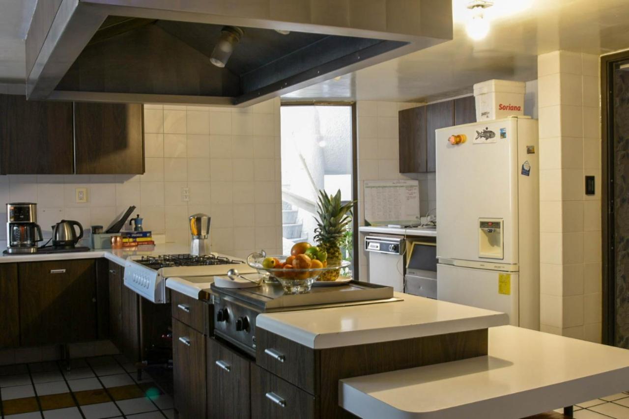 Casa Lulu Coyoacan Alvaro Obregon Dış mekan fotoğraf