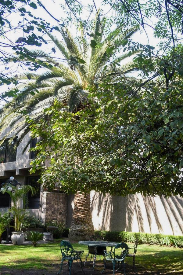 Casa Lulu Coyoacan Alvaro Obregon Dış mekan fotoğraf