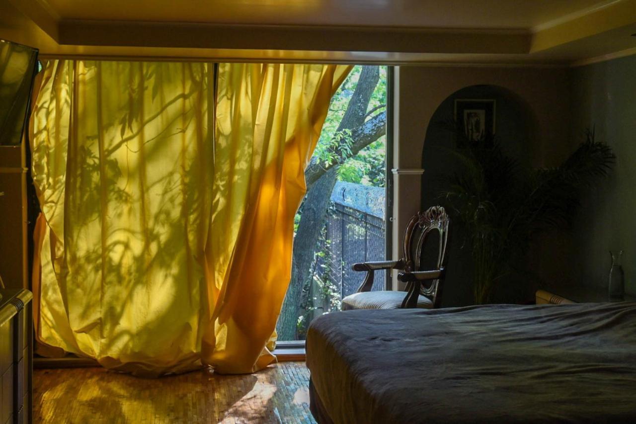 Casa Lulu Coyoacan Alvaro Obregon Dış mekan fotoğraf