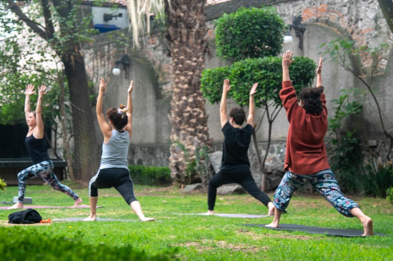Casa Lulu Coyoacan Alvaro Obregon Dış mekan fotoğraf