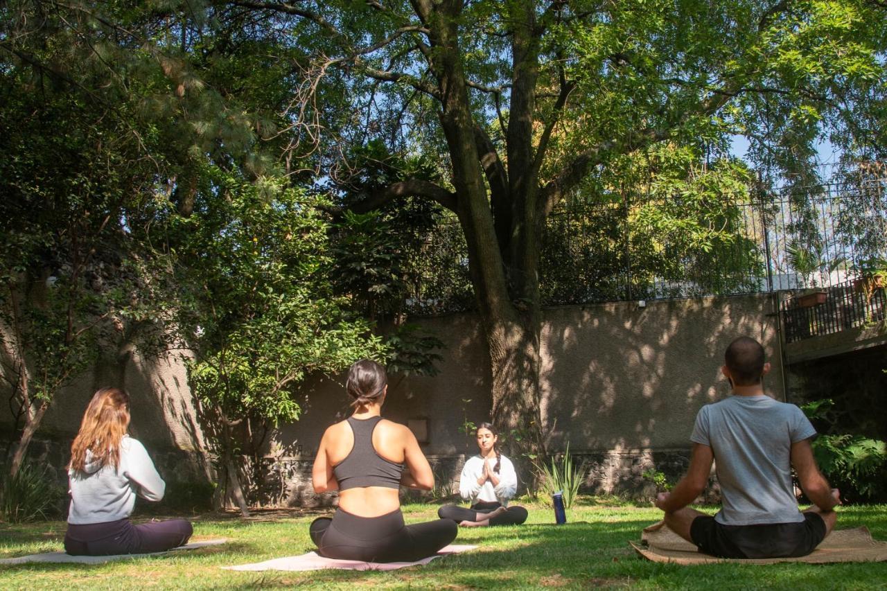 Casa Lulu Coyoacan Alvaro Obregon Dış mekan fotoğraf